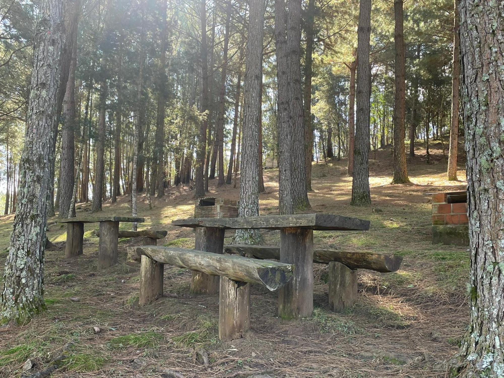 Cabanas Leao Da Tribo De Juda 카넬라 외부 사진